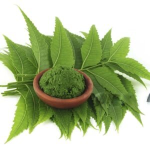neem powder (azadirachta indica) – natural detox & skin care