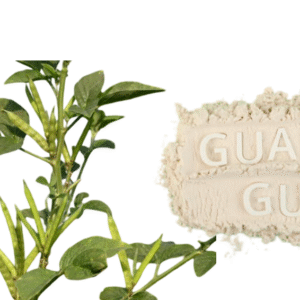 guar gum powder | guar gummi | cluster bean gum