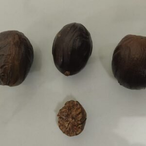 Jathikkai Powder – Pure Nutmeg (Myristica fragrans)