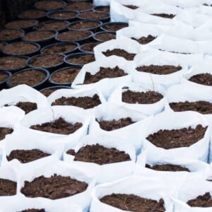 Open Top Grow Bags (Prefill Bags) – Coco Peat & Husk Chips