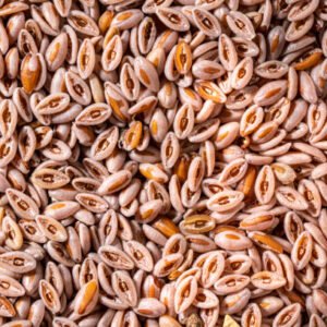 Psyllium Seeds